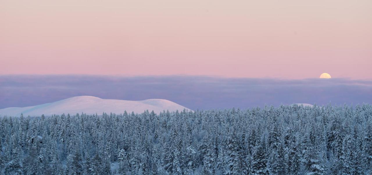 Kahden hengen huone - Twin - Jaettu kylpyhuone