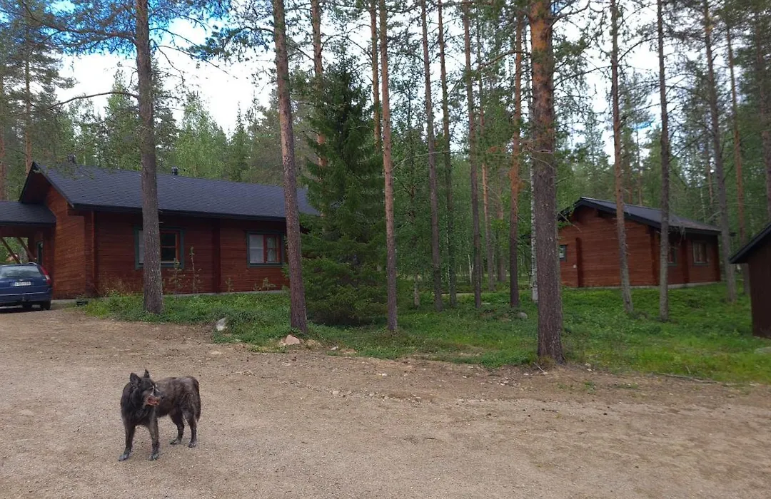 Silver Fox Hostel-1