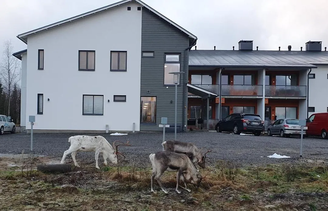 Hotel Lost In Ylläs-1