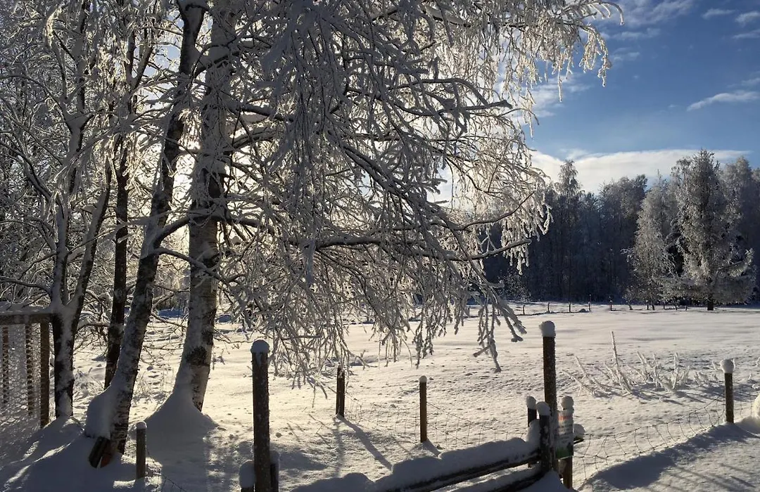 Ollilan tupa Joensuun lähellä-1