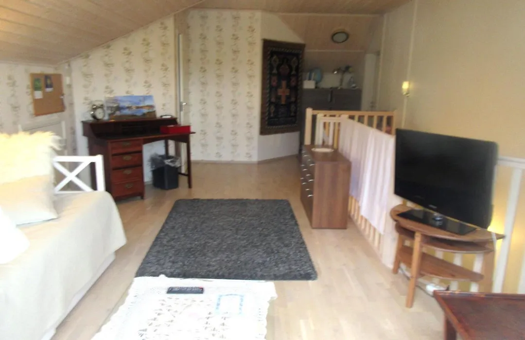 Turusensaha Guesthouse-1