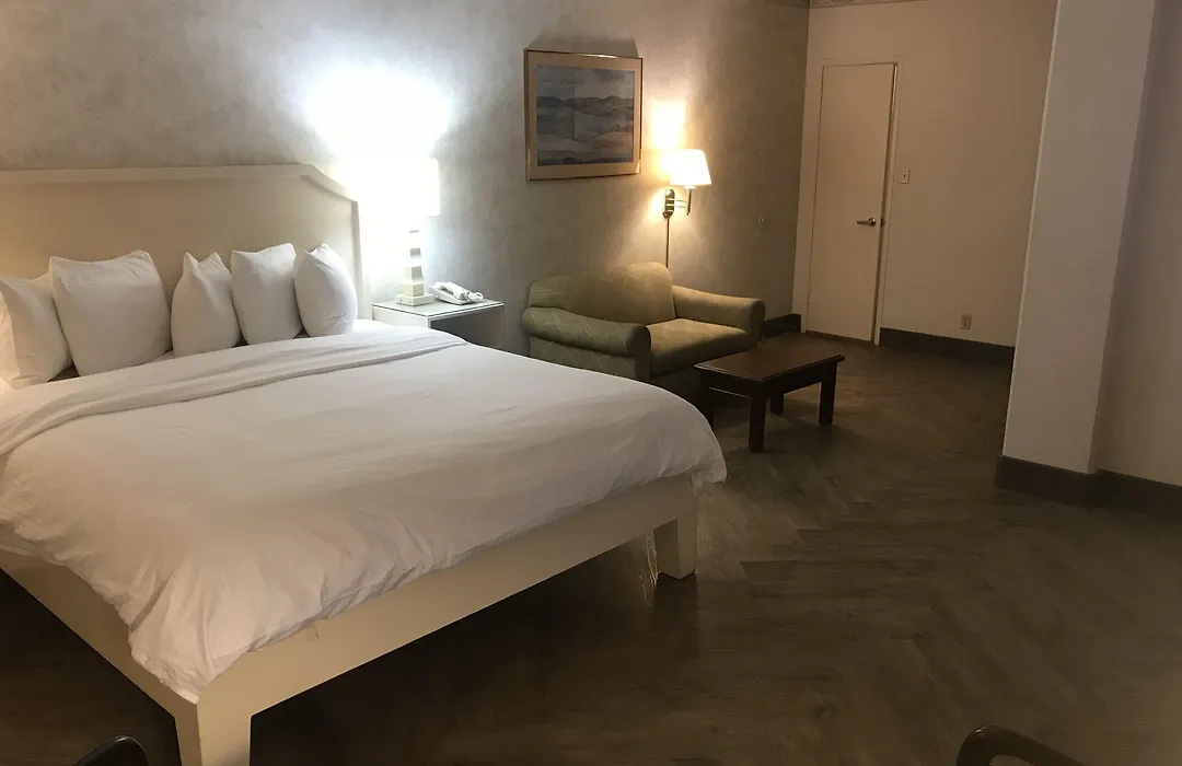 Hollywood Hotel-1