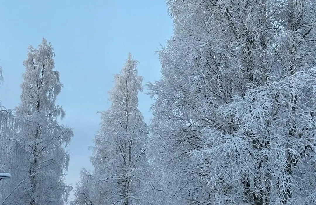 Motelli Rovaniemi-1