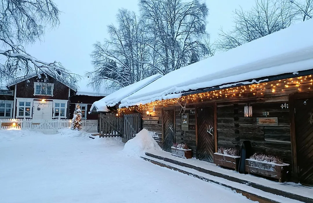 Lauri Historical Log House Manor-1