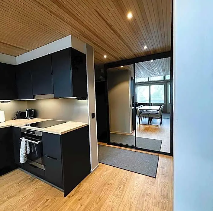 Levin Kunkku B penthouse-1