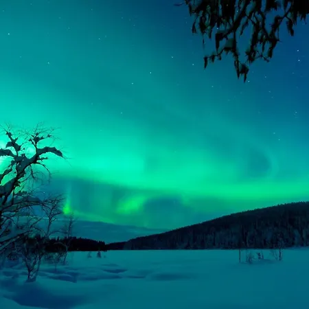 Arctic Skylight Lodge-3