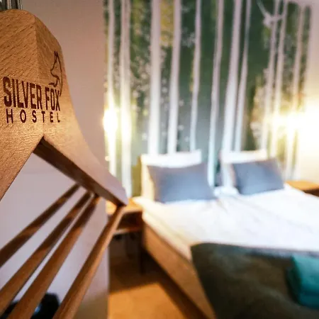 Silver Fox Hostel-2