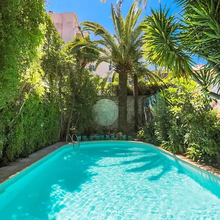 Le Windsor, Jungle Art Hotel-2