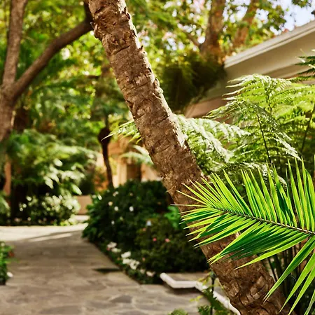 Hotel Bel-Air - Dorchester Collection-3
