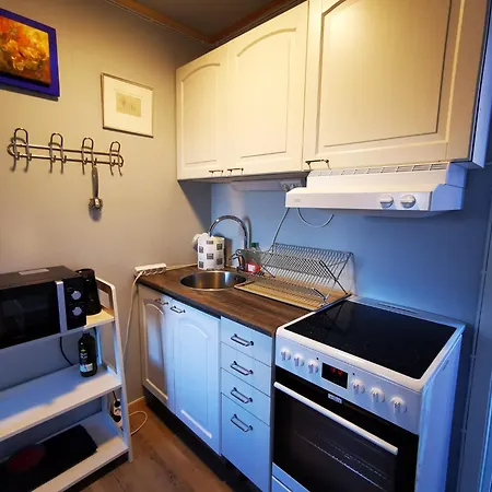 Abisko Guesthouse & Activities-3