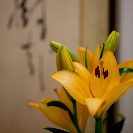 Kimi Ryokan-2