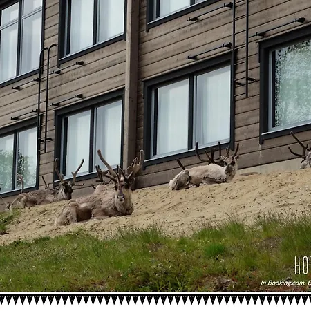 Hotel Valle Lapland-3