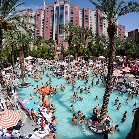Flamingo Las Vegas Hotel & Casino-2