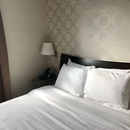 Hotel Mimosa-2