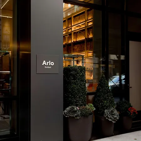 Arlo Nomad-2