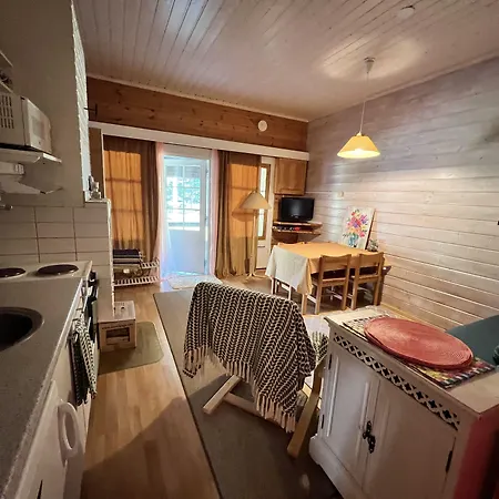 Punkaharju Resort-2