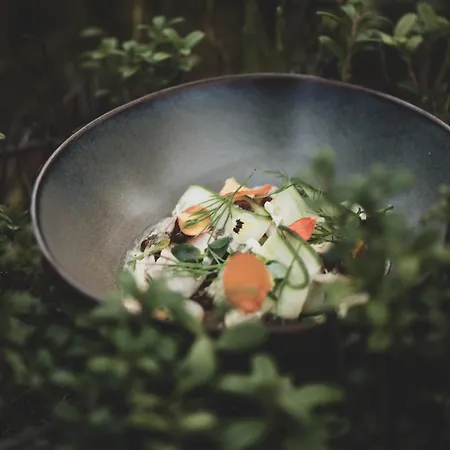 Aurora Igloo, Sauna Spa & Dinner By Invisible Forest Lodge Adults Only-2