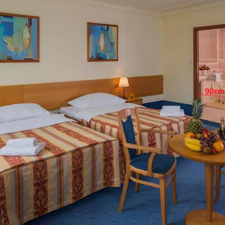 Top Hotel Praha-3