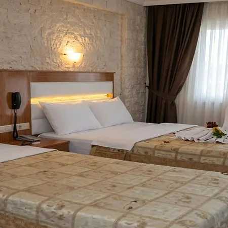 Hotel Star Park-2