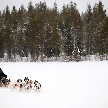 Lapland Northern Lights Hotel Ilveslinna Ranua-3