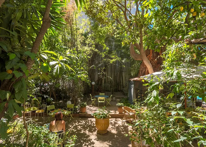 Le Windsor, Jungle Art Hotel Nizza