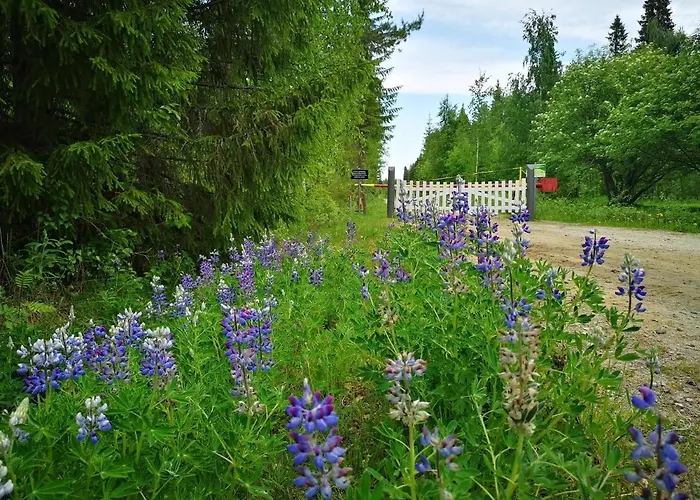 Raate Guest House Suomussalmi