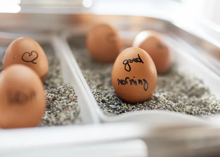 Hotel Central Hampuri