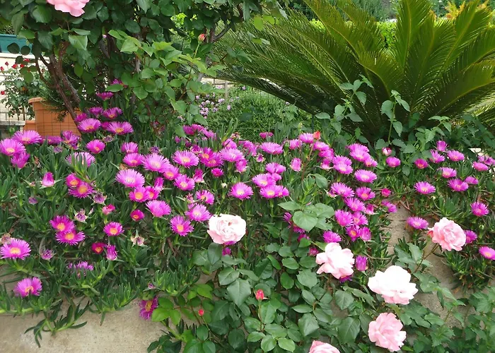 Peric Rooms Dubrovnik