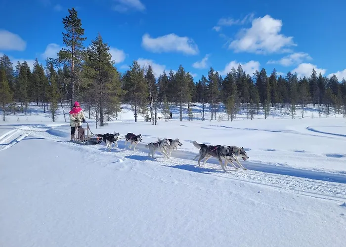 Aurora Queen Resort Igloos Saariselkä