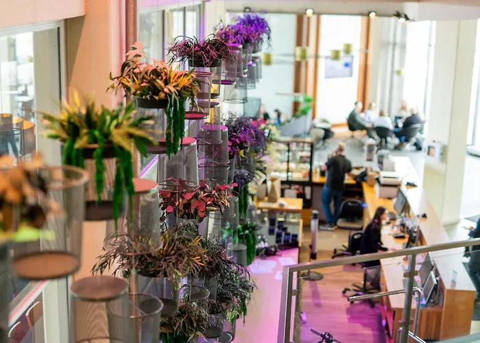 Hotelli TarjouksetHestia Europa