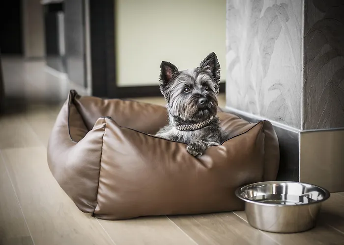 Hyatt Regency Dusseldorf Hotel