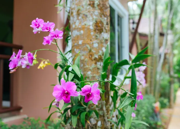 Thai Modern Resort & Spa "Newly Renovated" Phuket