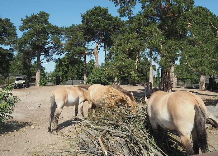 Omena Hotel Helsinki Lönnrotinkatu