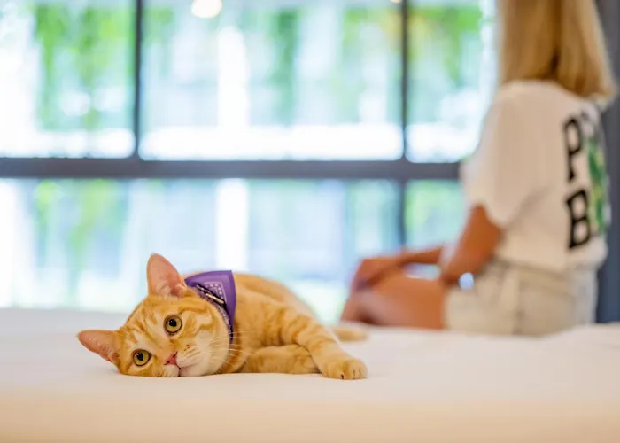 Homa Phuket Town Hotel