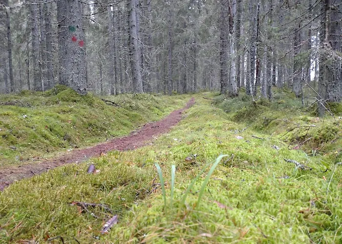 Original Sokos Hotel Koljonvirta Iisalmi
