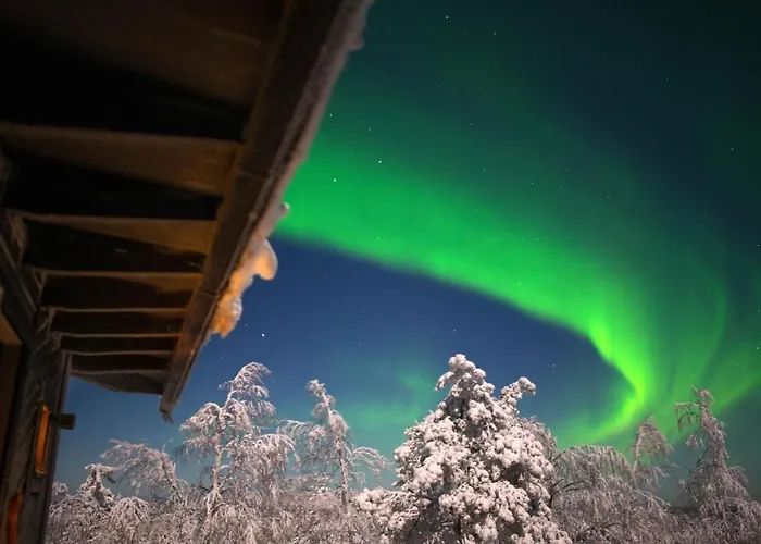 Arctic Giant Aparthotel Paltamo